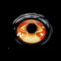 Sweety x Eyesinger Golden Eclipse (2 lenses/pack)-Colored Contacts-UNIQSO UK
