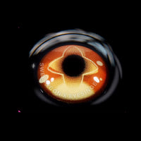 Sweety x Eyesinger Golden Eclipse (2 lenses/pack)-Colored Contacts-UNIQSO UK