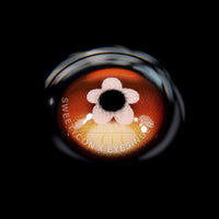 Sweety x Eyesinger Orange Clover (2 lenses/pack)-Colored Contacts-UNIQSO UK