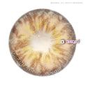 Urban Layer Amazon Brown (1 lens/pack)-Colored Contacts-UNIQSO UK