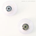 Urban Layer Amazon Gray (1 lens/pack)-Colored Contacts-UNIQSO UK