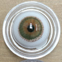 Urban Layer Angeles N Brown (1 lens/pack)-Colored Contacts-UNIQSO UK