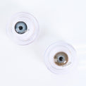 Western Eyes Nada Peace Brown (1 lens/pack) [Exp: 06/2027]-Colored Contacts-UNIQSO UK