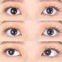 Western Eyes Spatax Grey (1 lens/pack) [Exp: 06/2027]-Colored Contacts-UNIQSO UK
