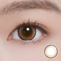 ii99 Monthy Disposable - Cowry Choco (2 Lenses/pack)-Colored Contacts-UNIQSO UK
