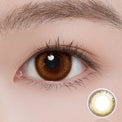 ii99 Monthy Disposable - Folia Brown (2 Lenses/pack)-Colored Contacts-UNIQSO