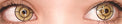 Sweety My Hero Academia Cosplay - Mei Hatsume (1 lens/pack)-Colored Contacts-UNIQSO