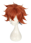 Cosplay Wig - Disney Twisted Wonderland-Ace-Cosplay Wig-UNIQSO