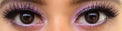 Colorvue 3 tones Brown (2 lenses/pack)-Colored Contacts-UNIQSO UK