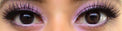 Colorvue 3 tones Brown (2 lenses/pack)-Colored Contacts-UNIQSO UK