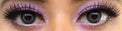 Colorvue 3 tones Grey (2 lenses/pack)-Colored Contacts-UNIQSO UK