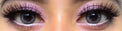 Colorvue Cheerful Carbon Grey (2 lenses/pack)-Colored Contacts-UNIQSO UK