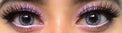 Colorvue Cheerful Creamy White (2 lenses/pack)-Colored Contacts-UNIQSO UK