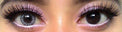 Colorvue Cheerful Creamy White (2 lenses/pack)-Colored Contacts-UNIQSO UK