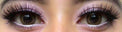 Colorvue Cheerful Woody Brown (2 lenses/pack)-Colored Contacts-UNIQSO UK