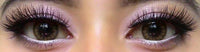 Colorvue Cheerful Woody Brown (2 lenses/pack)-Colored Contacts-UNIQSO UK