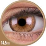 Colorvue Cheerful Woody Brown (2 lenses/pack)-Colored Contacts-UNIQSO UK