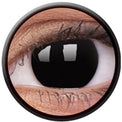 Colorvue Crazy Blackout (2 lenses/pack)-Crazy Contacts-UNIQSO UK