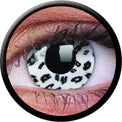 Colorvue Crazy White Leopard (2 lenses/pack)-Crazy Contacts-UNIQSO UK