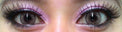 Colorvue Lumina Shining Brown (2 lenses/pack)-Colored Contacts-UNIQSO UK