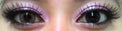 Colorvue Lumina Shining Brown (2 lenses/pack)-Colored Contacts-UNIQSO UK