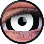 Colorvue Mini Sclera Lens The Doom - 3 Months Disposable (2 lenses/pack)-Mini Sclera Contacts-UNIQSO UK