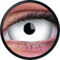 Colorvue Mini Sclera Lens Winter Maiden - 3 Months Disposable (2 lenses/pack)-Mini Sclera Contacts-UNIQSO UK