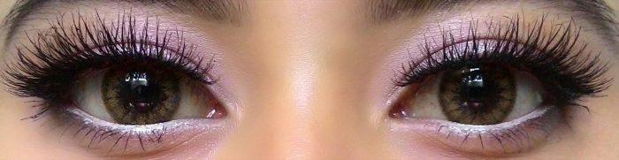 Colorvue Cheerful Woody Brown (2 lenses/pack)-Colored Contacts-UNIQSO