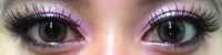 Colorvue Fizzy Lushy Brown (2 lenses/pack)-Colored Contacts-UNIQSO