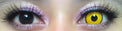 Coscon Crazy with Power - Mad Hatter (1 lens/pack)-Crazy Contacts-UNIQSO UK