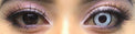 Coscon Crazy with Power - Zombie White (1 lens/pack)-Crazy Contacts-UNIQSO UK