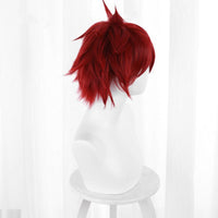 Cosplay Wig - CS 463A-Cosplay Wig-UNIQSO UK