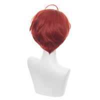 Cosplay Wig - CS 467C-Cosplay Wig-UNIQSO UK