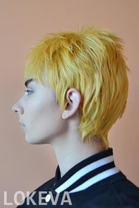 Cosplay Wig - cs 121A-Cosplay Wig-UNIQSO UK