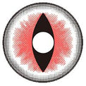 Sweety Crazy Sexy Cat Eye Red (1 lens/pack)-Crazy Contacts-UNIQSO