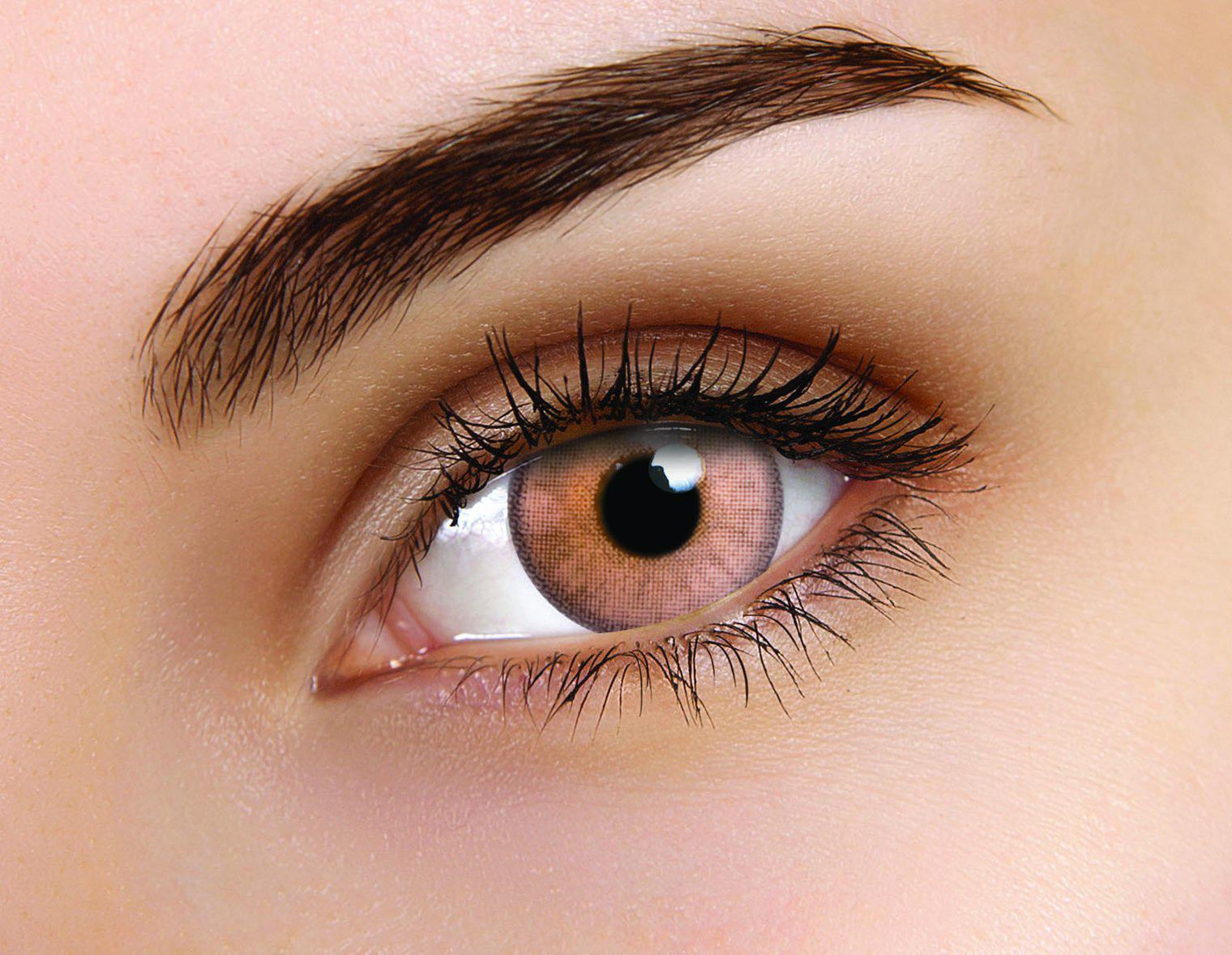 Flash Elixor Sinopia Brown (2 lenses/pack)-Colored Contacts-UNIQSO UK