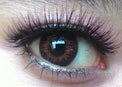 Flash Fairy Bella Hazel (2 lenses/pack)-Colored Contacts-UNIQSO UK