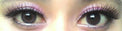 Flash Fairy Elves Grey (2 lenses/pack)-Colored Contacts-UNIQSO UK