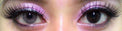 Flash VeniCol Dairy Peach (2 lenses/pack)-Colored Contacts-UNIQSO UK