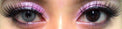 Flash VeniCol Desert Grey (2 lenses/pack)-Colored Contacts-UNIQSO UK
