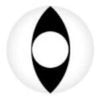 Coscon Crazy with Power - Viper (1 lens/pack)-Crazy Contacts-UNIQSO