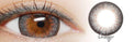 I-Codi Chou Cream Grey (1 lens/pack)-Colored Contacts-UNIQSO UK