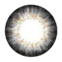 I-Codi Chou Cream Grey (1 lens/pack)-Colored Contacts-UNIQSO UK