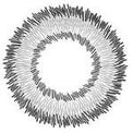 I-Codi Naty IC2 51 Grey (1 lens/pack)-Colored Contacts-UNIQSO UK