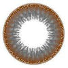I-Codi Naty VB Brown (1 lens/pack)-Colored Contacts-UNIQSO UK