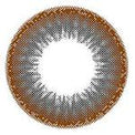 I-Codi Naty VB Brown (1 lens/pack)-Colored Contacts-UNIQSO UK