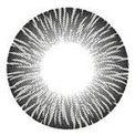 I-Codi RF Grey (1 lens/pack)-Colored Contacts-UNIQSO UK