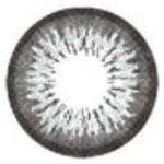 ICK Garnet Grey (1 lens/pack)-Colored Contacts-UNIQSO UK