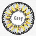 ICK Gaudy Grey (1 lens/pack)-Colored Contacts-UNIQSO UK