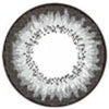 ICK Lory Grey (1 lens/pack)-Colored Contacts-UNIQSO UK